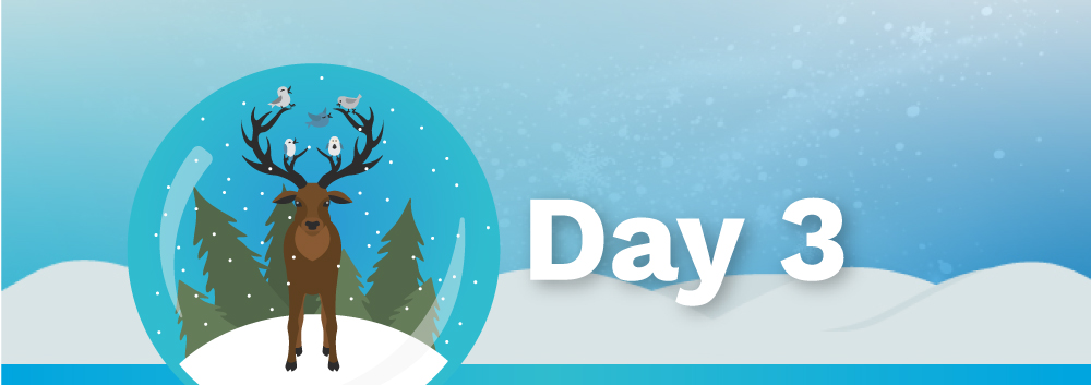 Day 3: Updates to Gift Cards