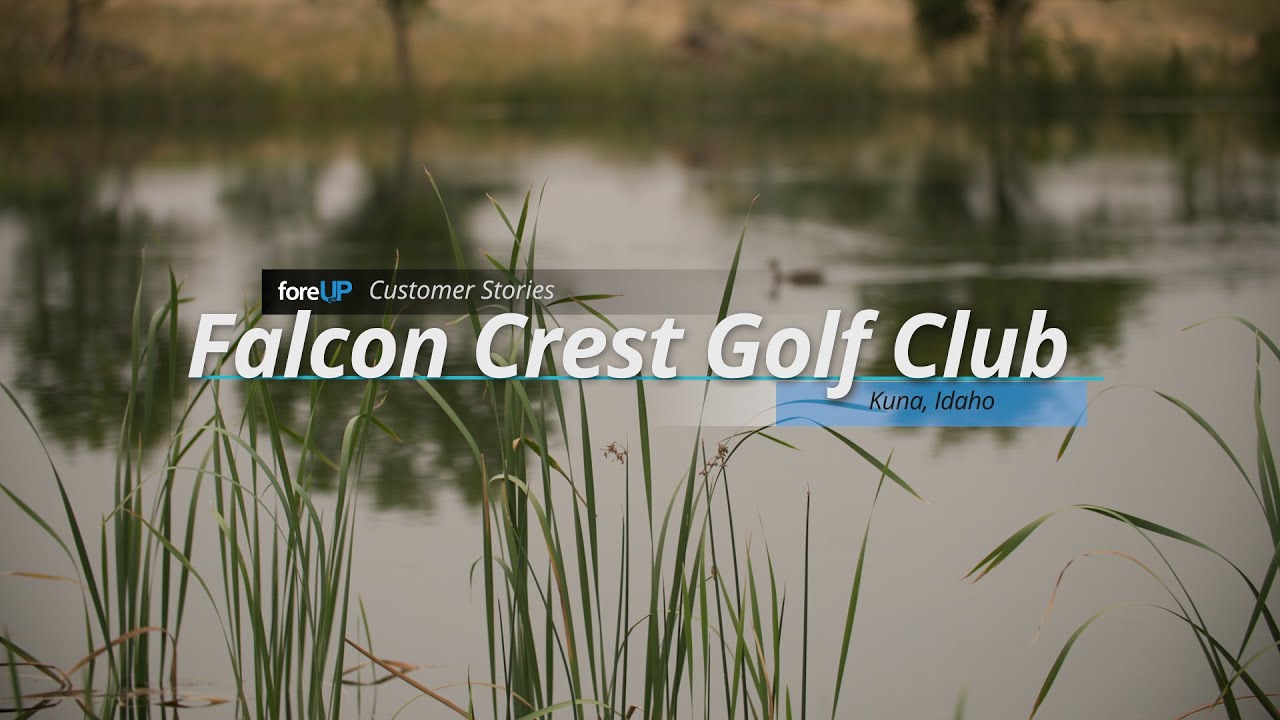 Falcon Crest Case Study