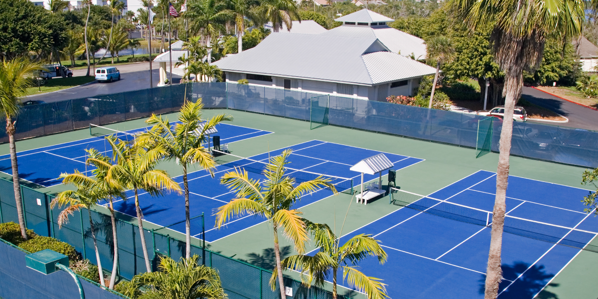 Why You Need Club Management Software