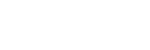 princeton valley logo